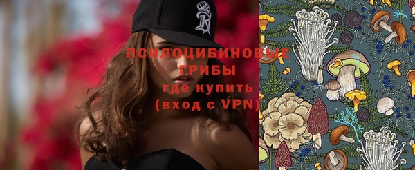 ALPHA PVP Кодинск