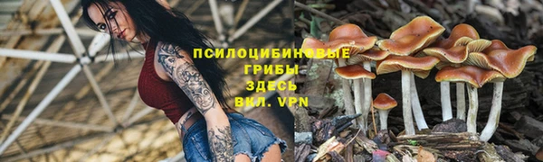 МДПВ Козельск