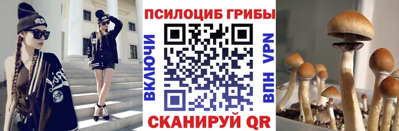 Галлюциногенные грибы мухоморы  Купить где  Сызрань 